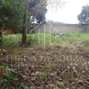 680 - Casa à venda no Ipiranga