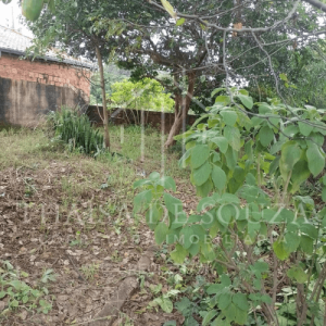 680 - Casa à venda no Ipiranga