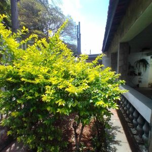 Imovel-449 (19)-Thaisa-Imoveis
