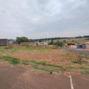 Imóvel 882 - Thaísa Imóveis (4)