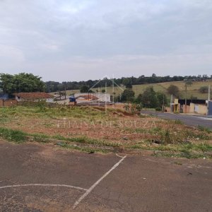 Imóvel 882 - Thaísa Imóveis (6)