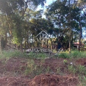 Lote Ponta dos Cambarás 78 (1)
