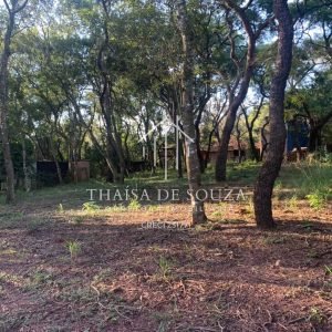 Lote Ponta dos Cambarás 78 (2)